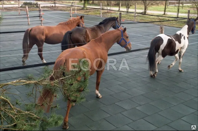 Маты из резиновой крошки для конюшни в Мегионе